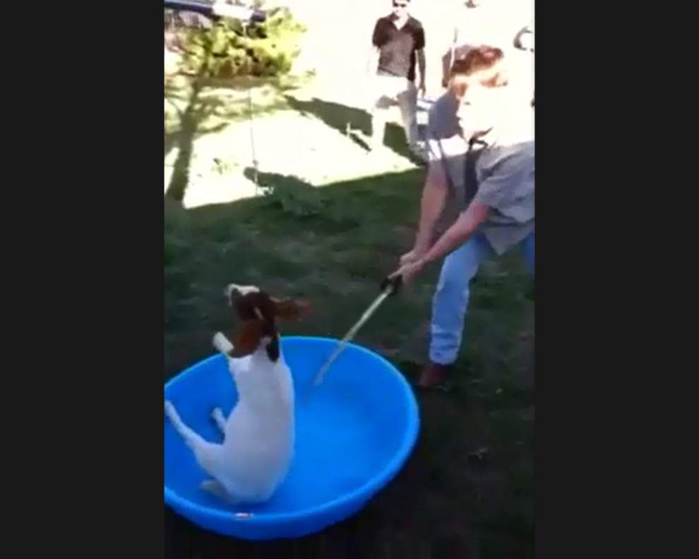 Man beheads goat as others film gruesome event in New Orleans _lowres