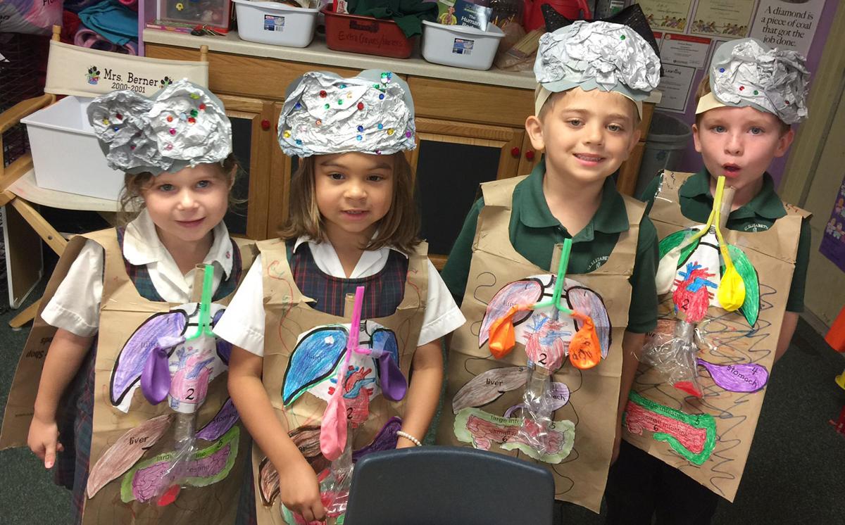 st-elizabeth-ann-seton-students-learn-about-how-their-insides-work