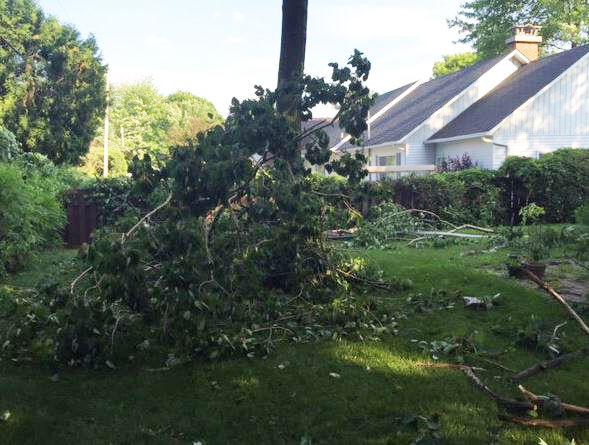 Record warmth for Montreal - The Suburban Newspaper (blog)