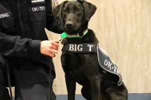 Two K9s join Tulsa-area FEMA search-and-rescue task force