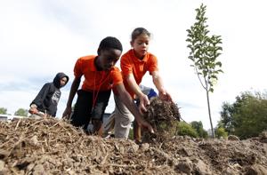 New north Tulsa food forest the first in city to be based at a school