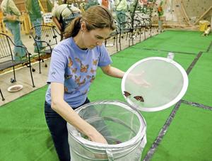 Tribes land $248,000 grant to help monarch butterflies