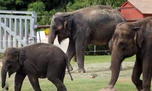 Oklahoma City Zoo defends itself against 'worst' ranking
