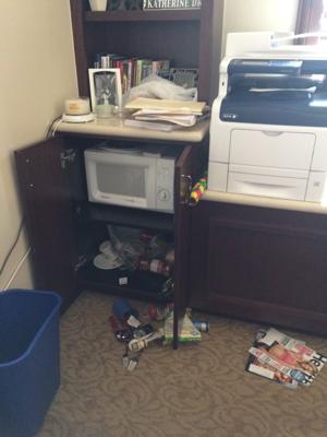 Felonious furballs: Senate offices get unexpected visitors