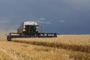 With wheat prices low, Oklahoma grain elevators are getting quite full