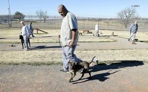 Prisoners give dogs second chance for adoption through Friends for Folks program
