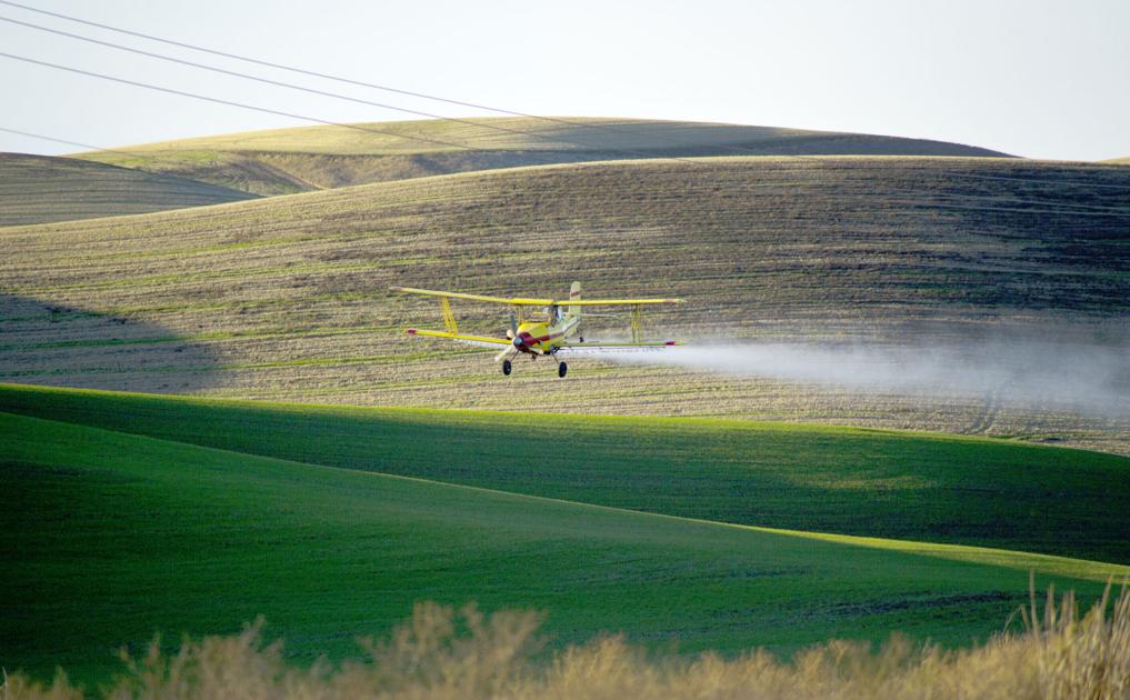 Roundtable on quest for sustainable food system - Walla Walla Union-Bulletin