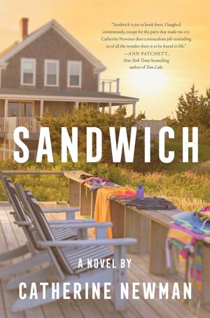Review: Want to LOL? Read 'Sandwich,' a new novel about a three-generation family vacation