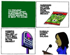 Editorial Cartoon: Steve Kelley