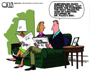 Editorial Cartoon: Steve Kelley