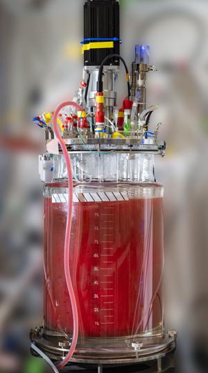 Red blood cells