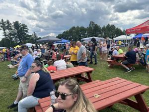 260803-news-Pizzastock crowd.jpg