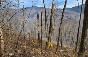 NH brush fires have crews in the thick of it