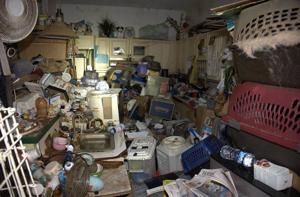 US-NEWS-FLA-PET-HOARDER-FILEPIC-2-MCT
