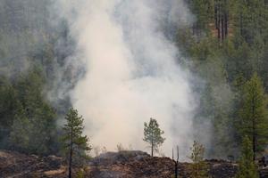 Wildfires burn in Washington state