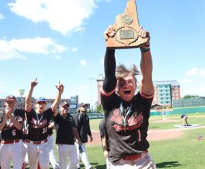 The 2026 high school baseball all-division teams