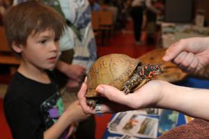 TurtleFest 2026 at Newmarket Jr./Sr. High School