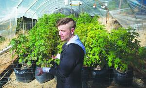 Legality of marijuana debated as profit source