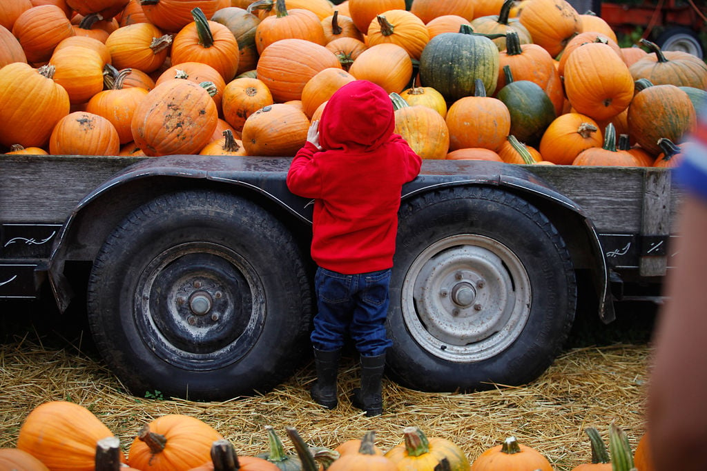 Hartsburg Pumpkin Festival 2024 Lacie Miquela