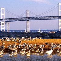 Chesapeake Bay Program Finds Slight Decline in Nutrient, Sediment Pollution Entering Bay 1 Chesapeake Bay Program Finds Slight Decline in Nutrient, Sediment Pollution Entering Bay