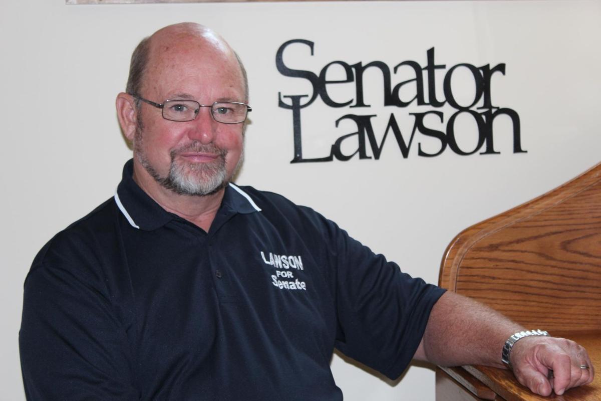 Image result for senator dave lawson
