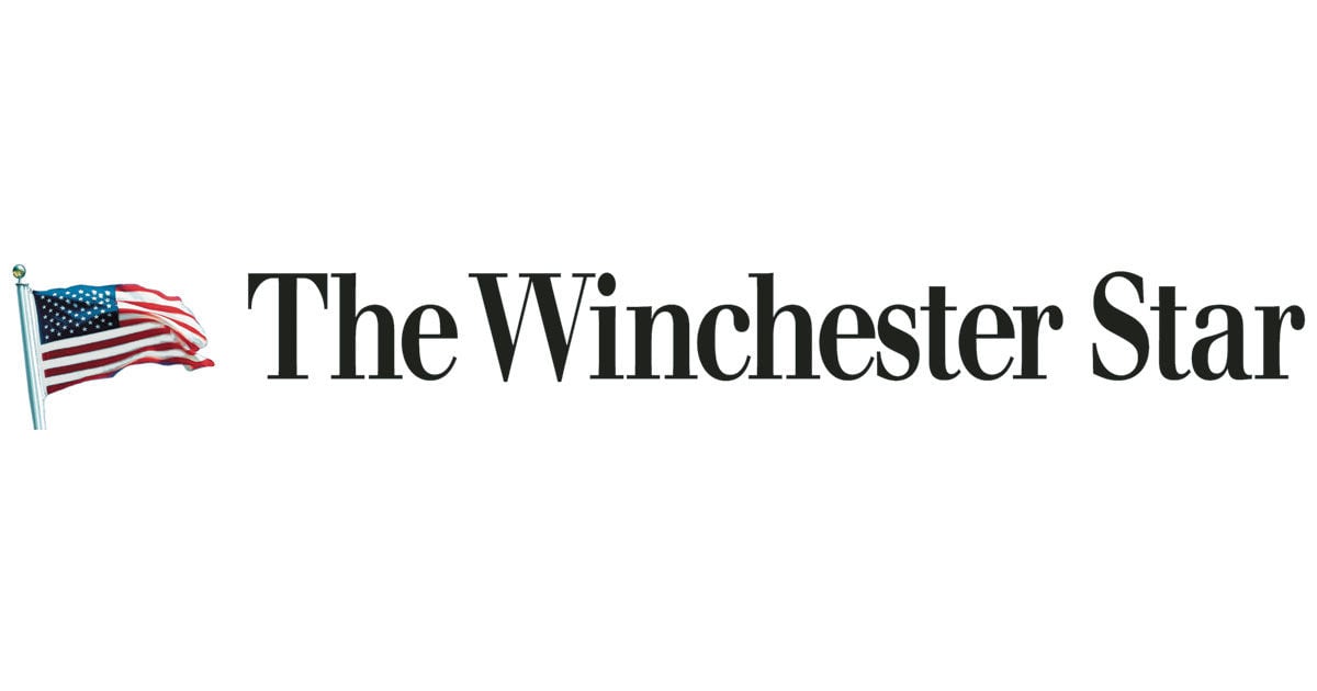 Top-seeded Millbrook upset in Conference 21 West volleyball - The Winchester Star