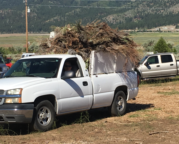 green waste truckee meadows.PNG