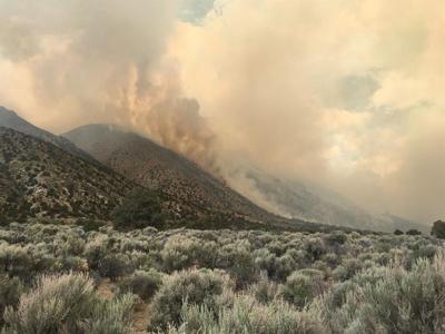 Wildfires Affect Air Quality More Than Prescribed Burns