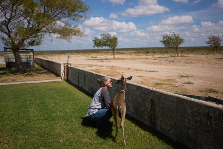 Border Wall Land Owners Photo Essay