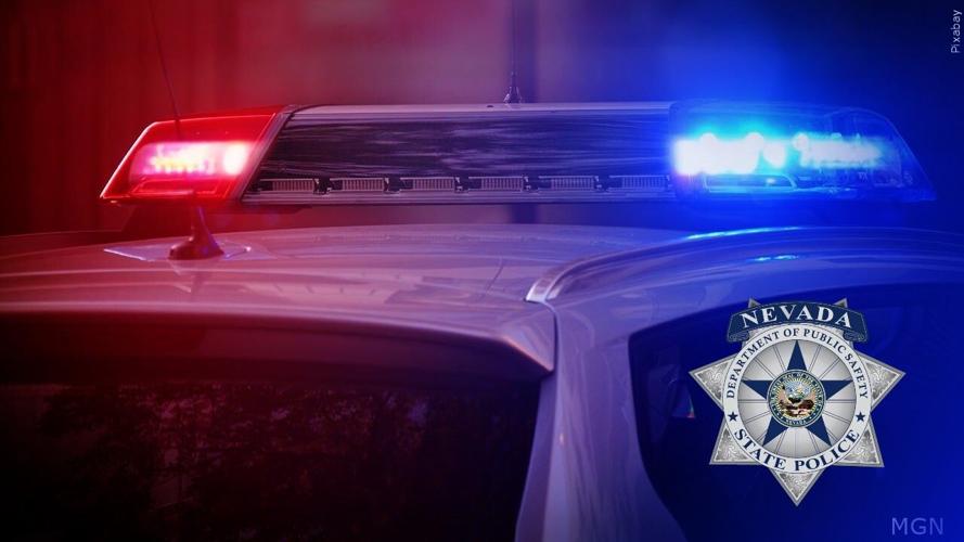 Police Lights with NSP badge