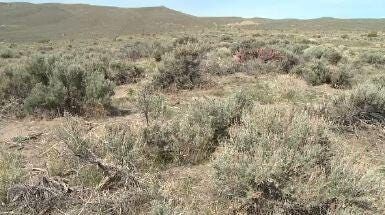 Allergy Season In Full Effect