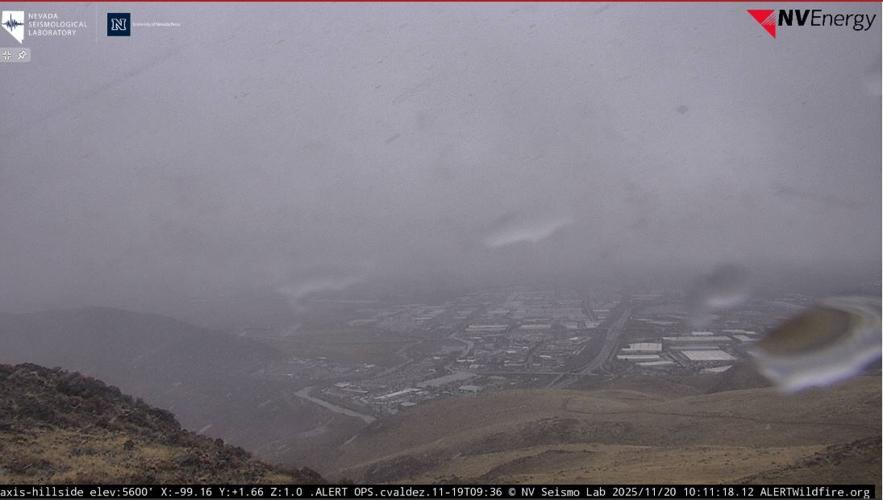 Hillside camera, November 20, 2025