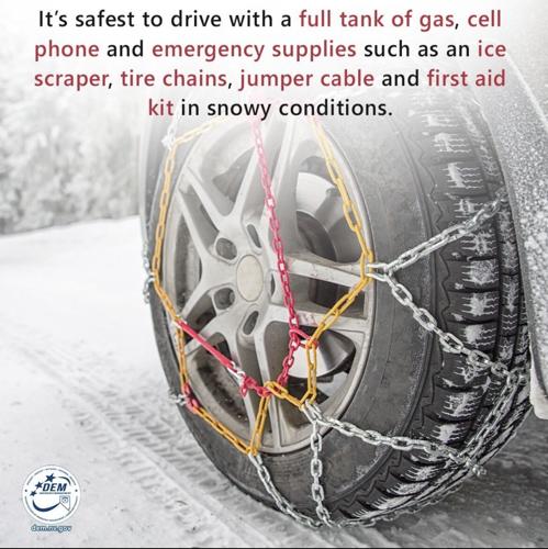 Snow Tips.jpeg