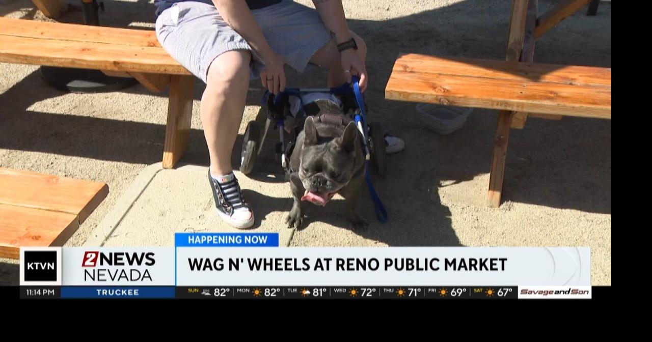 Dog lovers gathered for the Wag n' Wheels event at Reno Public Market ...