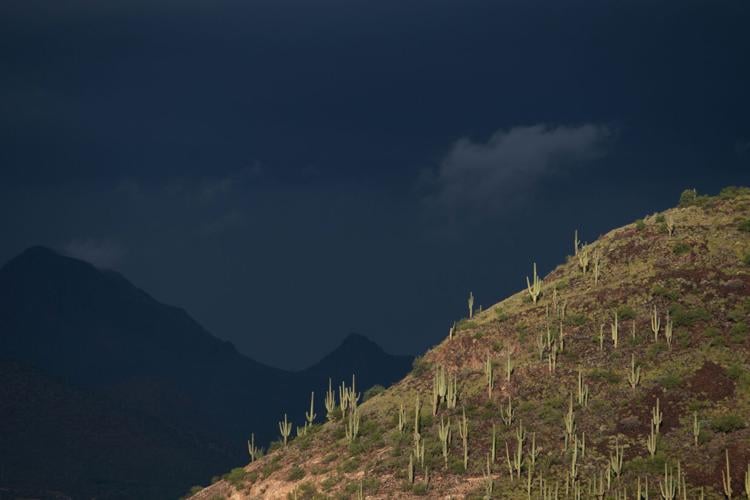 Extreme Weather Arizona