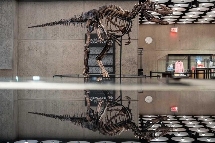 Mini T-Rex Auction