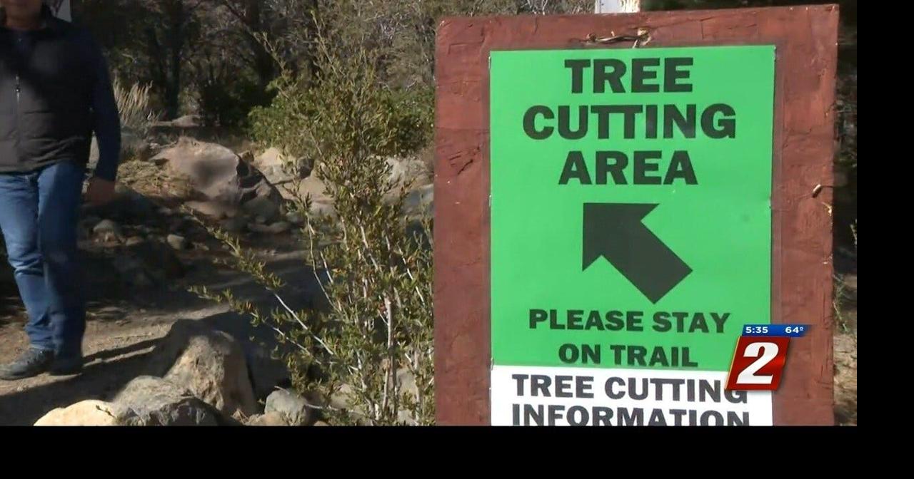 Christmas Tree Cutting Permits Now Available in Elko District News