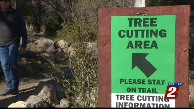 Nevada Christmas Tree Permits 2022 Christmas Tree Permits For Sale | News | 2News.com