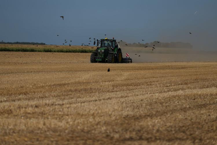 Netherlands Extreme Weather Drought