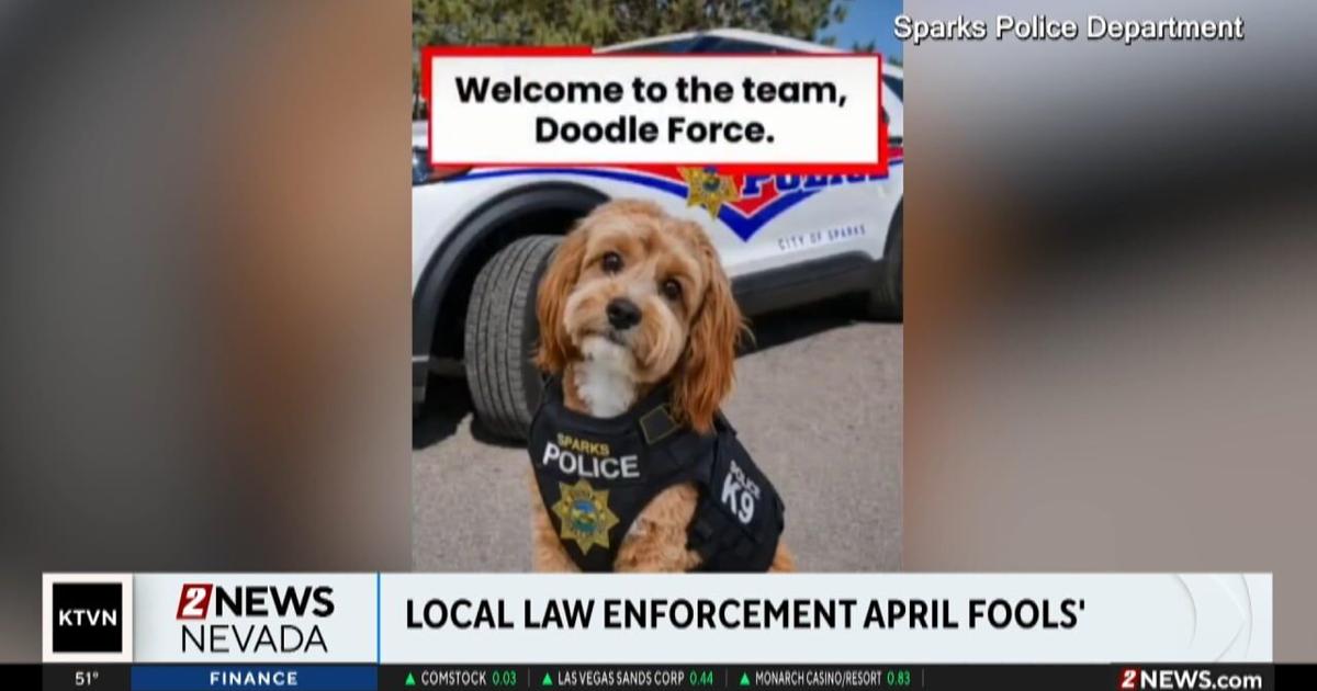 Police April Fools Local law enforcement April Fool's pranks | Local News | 2news.com