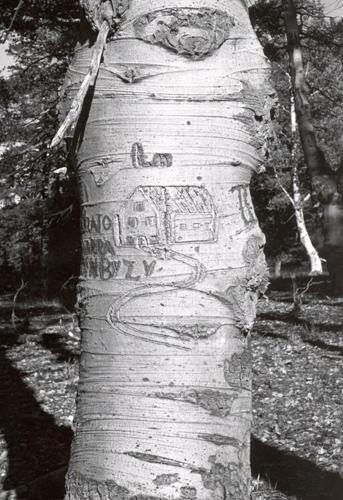 Basque arborglyph (also known as dendroglyphs, silvaglyphs, modified cultural trees, or aspen carvings) of a building structure. Part of the Jon Bilbao Basque Library Collection.