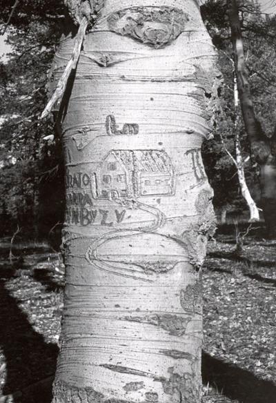 Basque arborglyph (also known as dendroglyphs, silvaglyphs, modified cultural trees, or aspen carvings) of a building structure. Part of the Jon Bilbao Basque Library Collection.