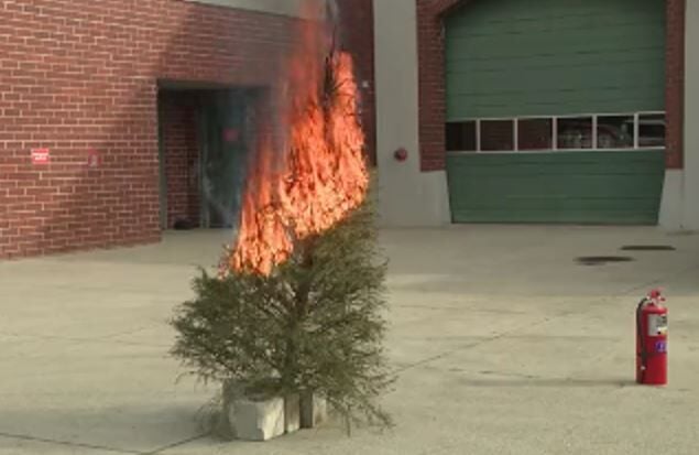 Christmas tree burn