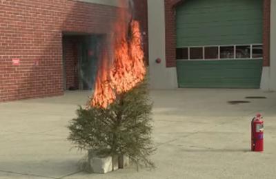 Christmas tree burn