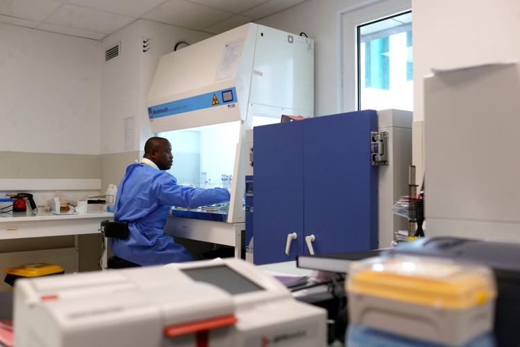 Africa Laboratory Scientists