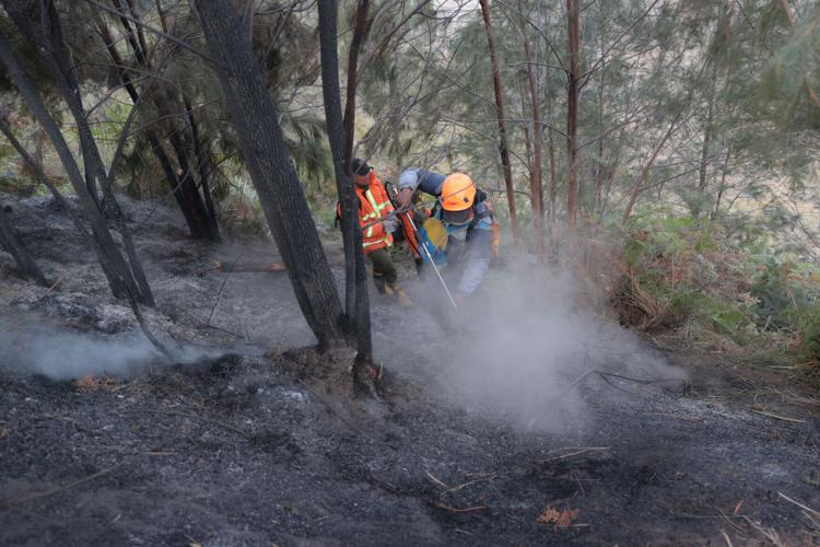 Indonesia Wildfire
