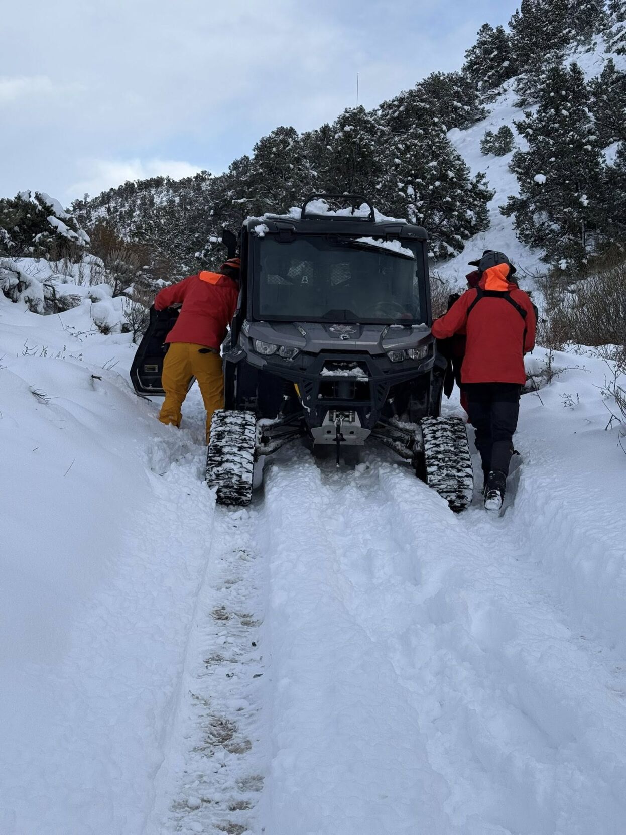 douglas sar snowshoe.jpg