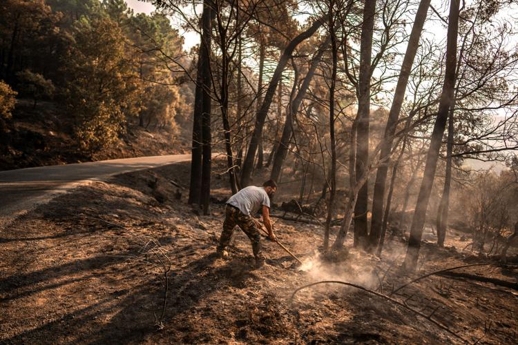 Spain Wildfires