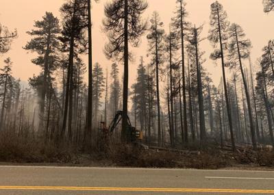 Caldor Fire Fully Contained at 221,835 Acres Near Lake Tahoe
