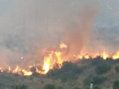BLM: Containment Grows on Slinkard Fire West of Topaz Lake